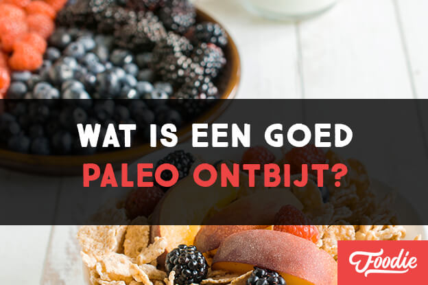 paleo boeken nederlands