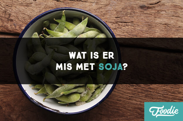 Wat is er mis met Soja paleo