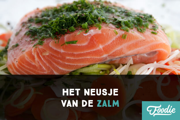 Het neusje van de zalm paleo