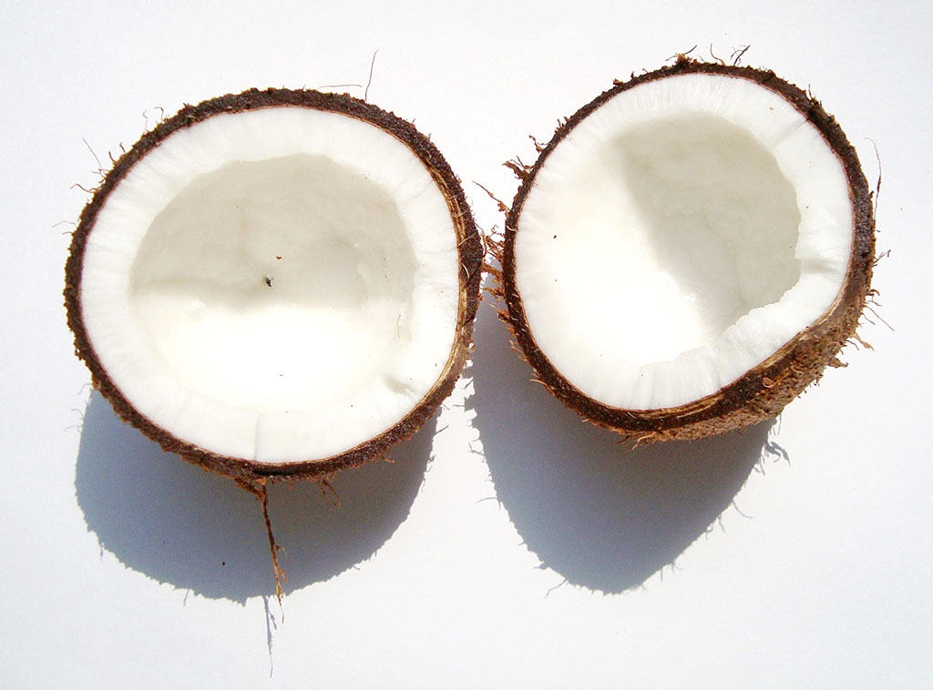 coconut_z1ftkio_-1