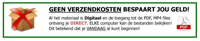 banner-digitaal