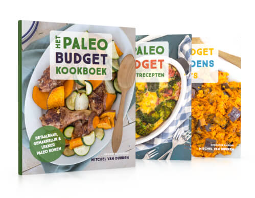 paleobudgetboeken-witbg